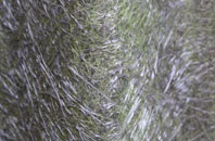 Lacock fibreglass roof work